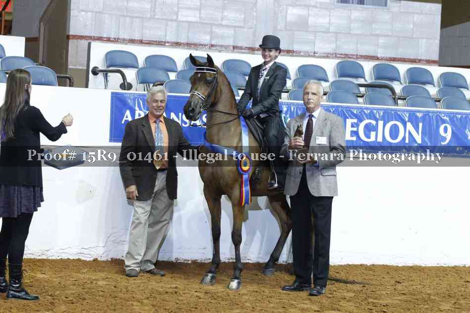 Proof Number 15R9_01461