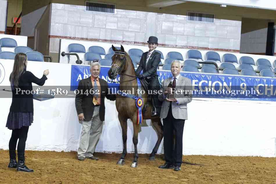 Proof Number 15R9_01462