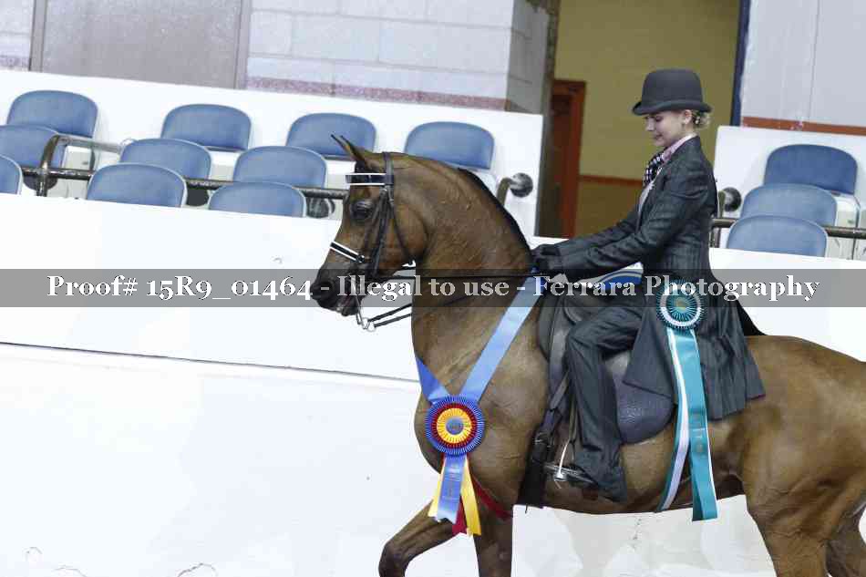 Proof Number 15R9_01464