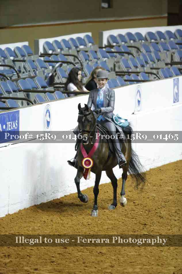 Proof Number 15R9_01465