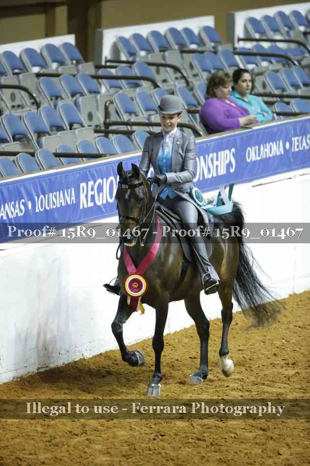 Proof Number 15R9_01467