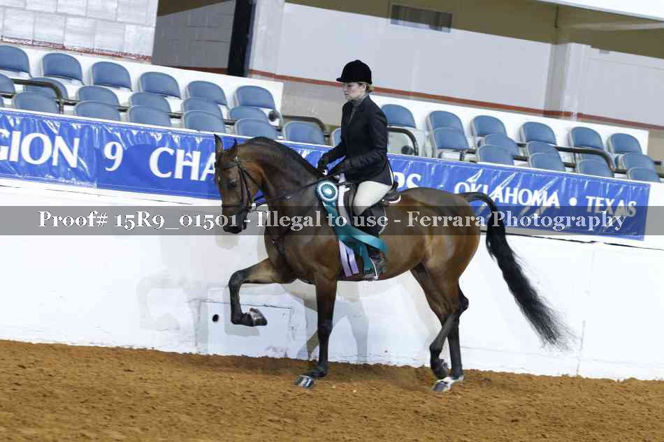 Proof Number 15R9_01501