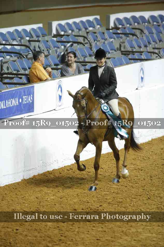 Proof Number 15R9_01502