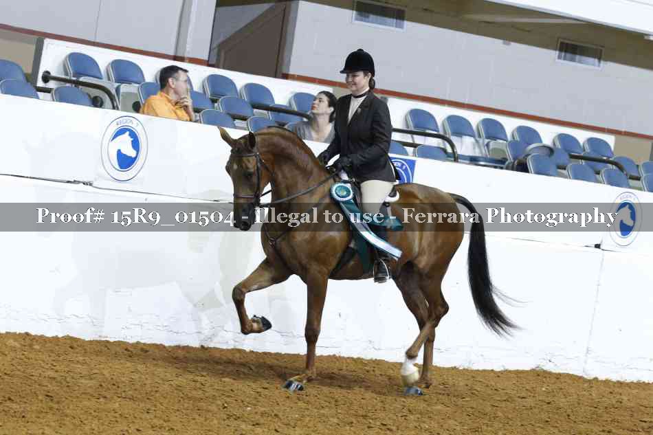 Proof Number 15R9_01504