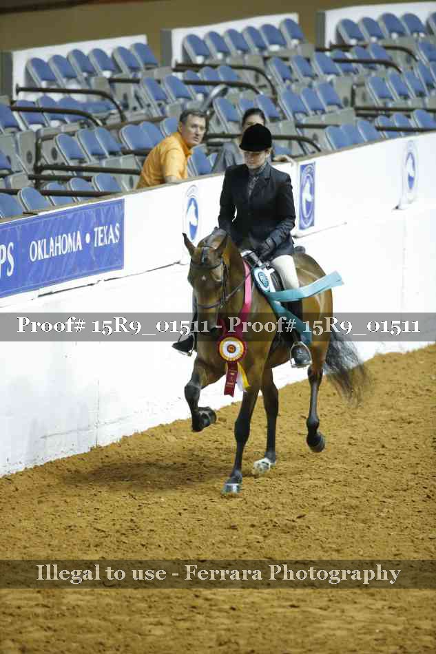 Proof Number 15R9_01511