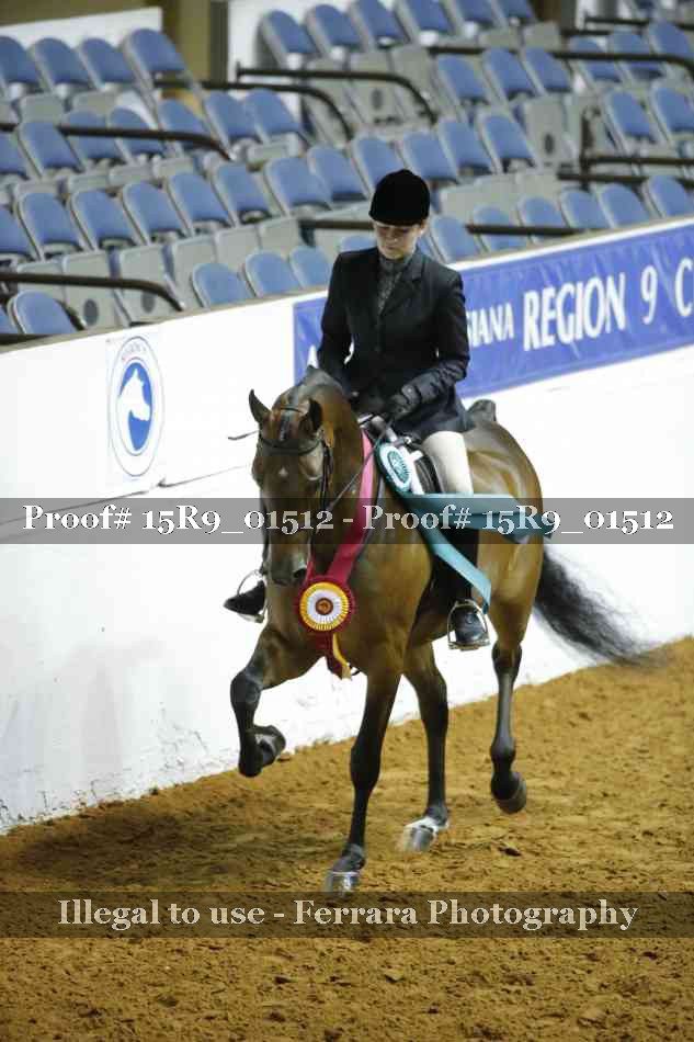 Proof Number 15R9_01512
