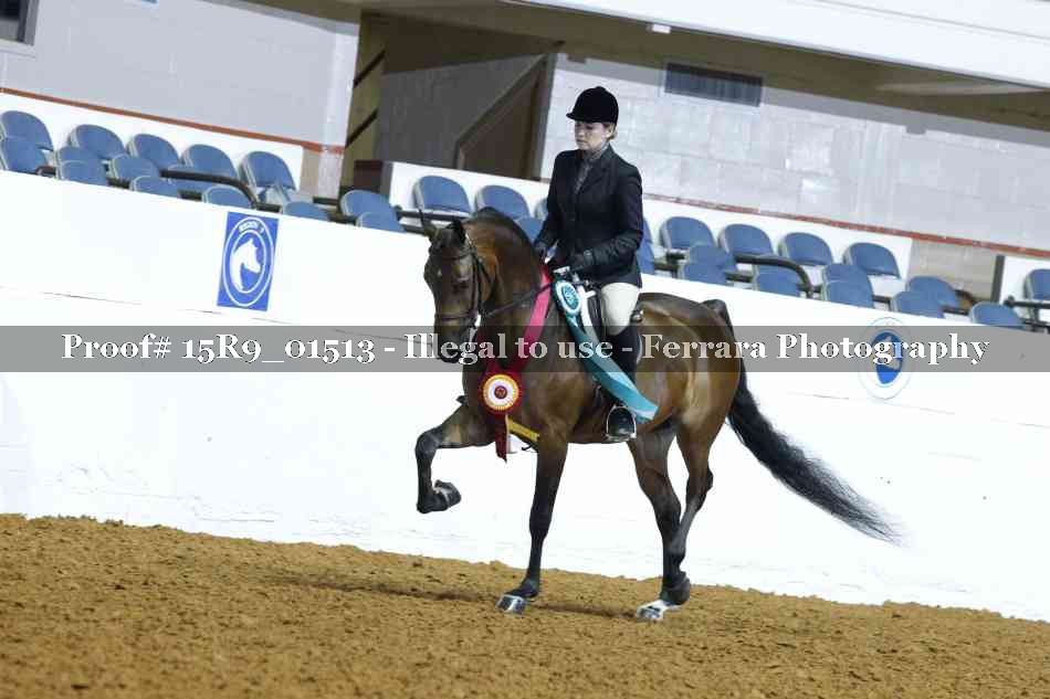 Proof Number 15R9_01513