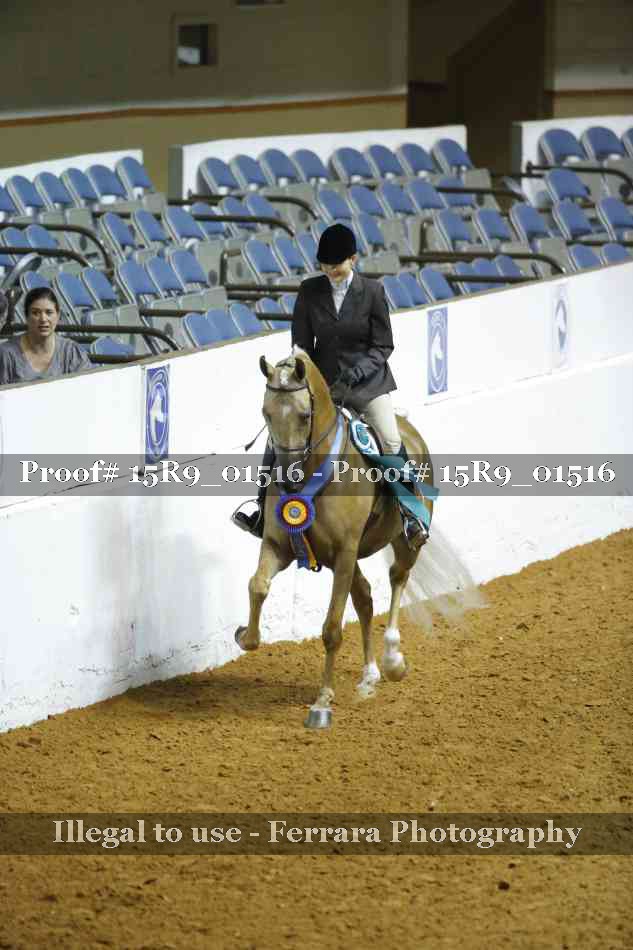 Proof Number 15R9_01516