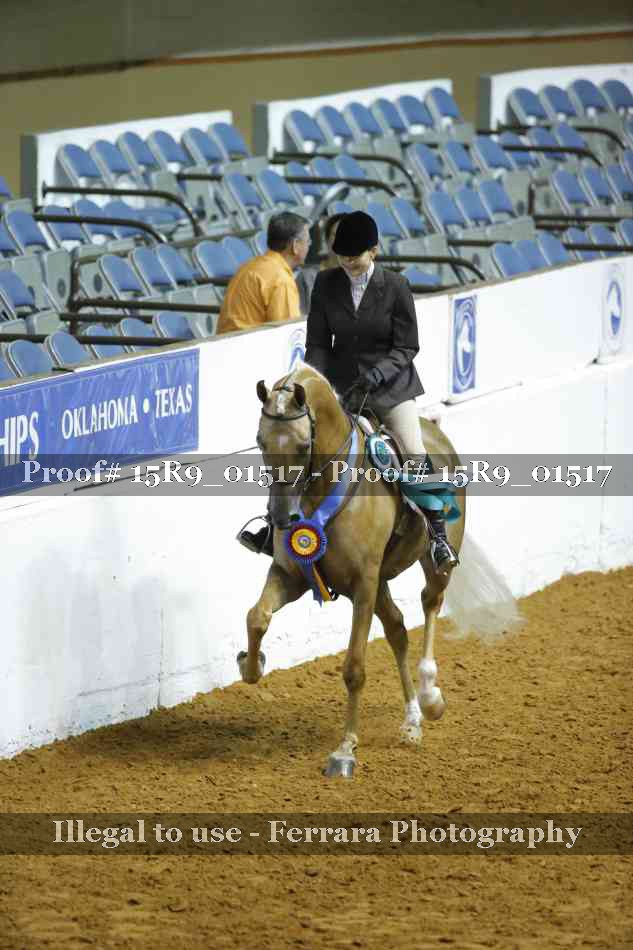 Proof Number 15R9_01517
