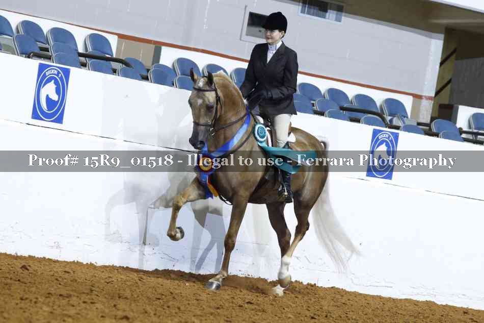 Proof Number 15R9_01518