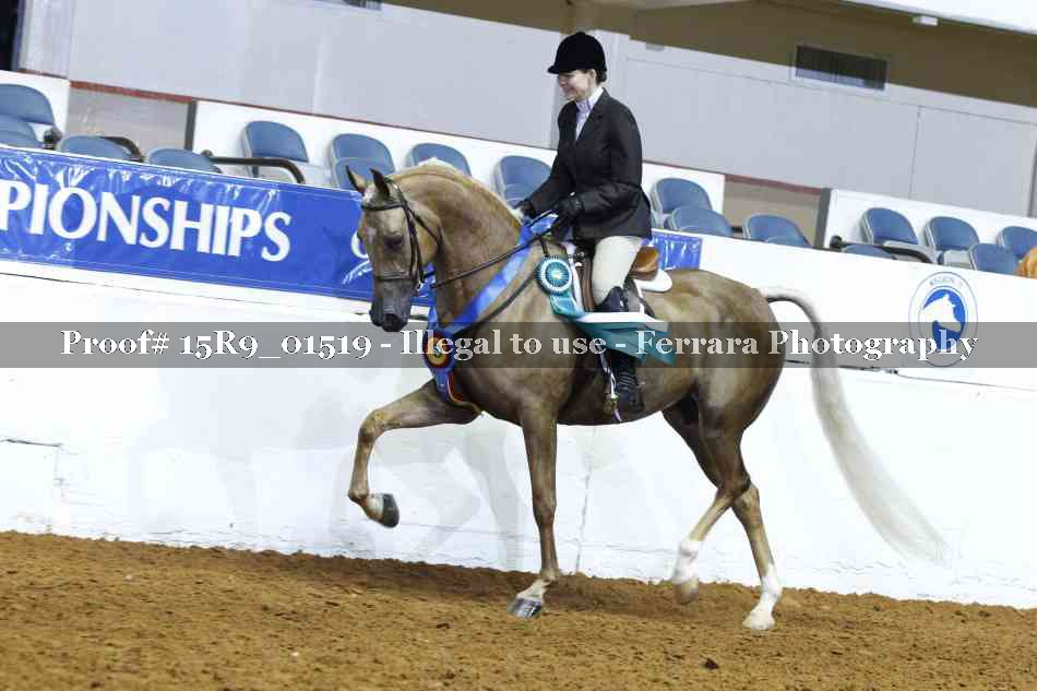 Proof Number 15R9_01519