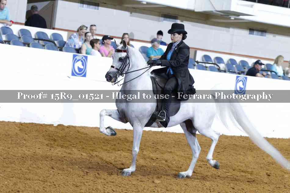 Proof Number 15R9_01521