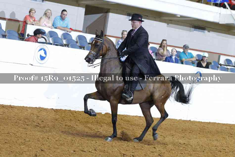Proof Number 15R9_01525