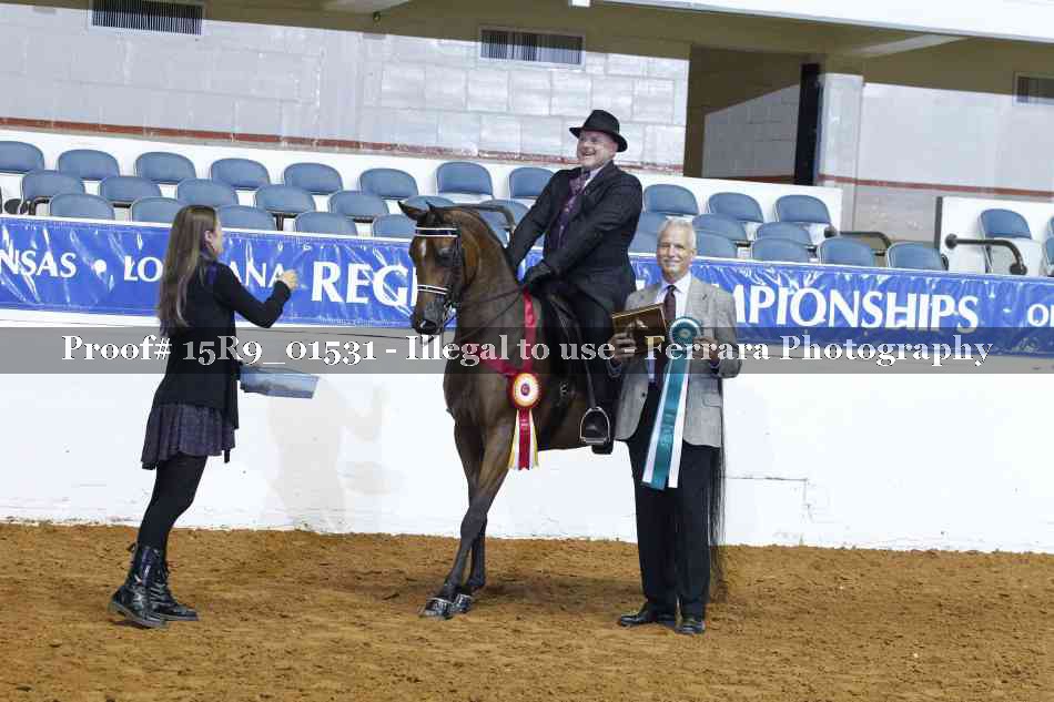 Proof Number 15R9_01531