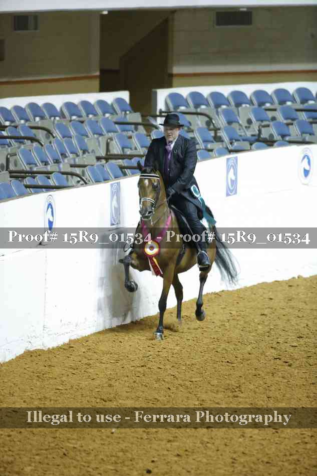 Proof Number 15R9_01534