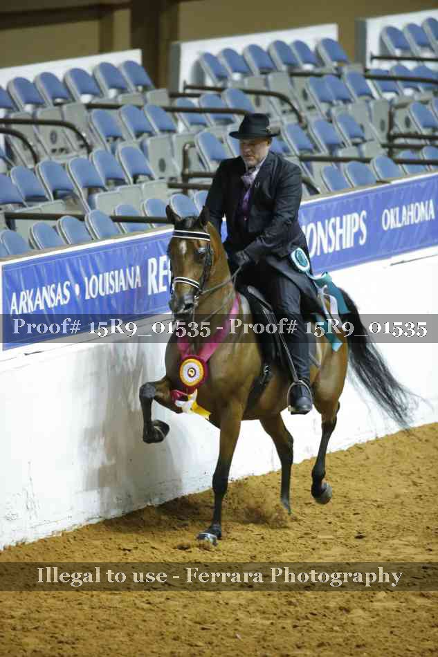 Proof Number 15R9_01535