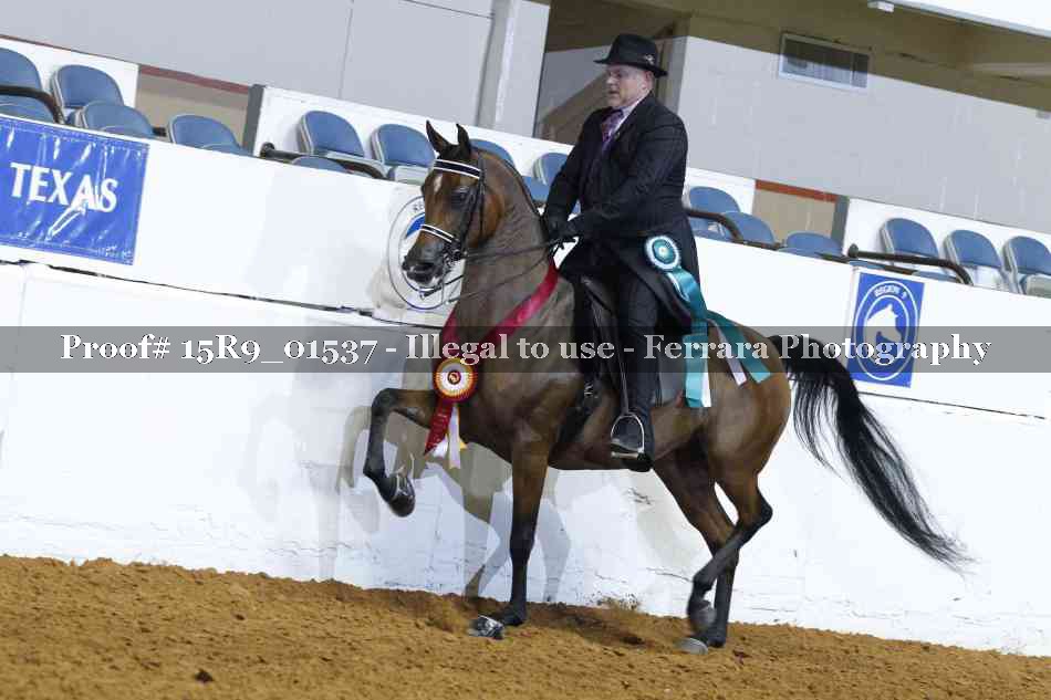 Proof Number 15R9_01537