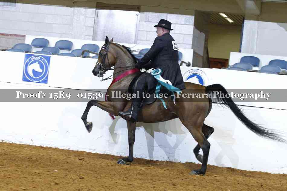 Proof Number 15R9_01539