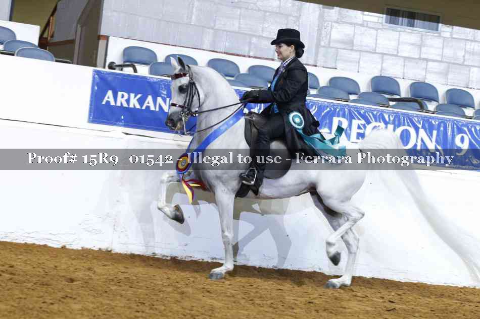 Proof Number 15R9_01542