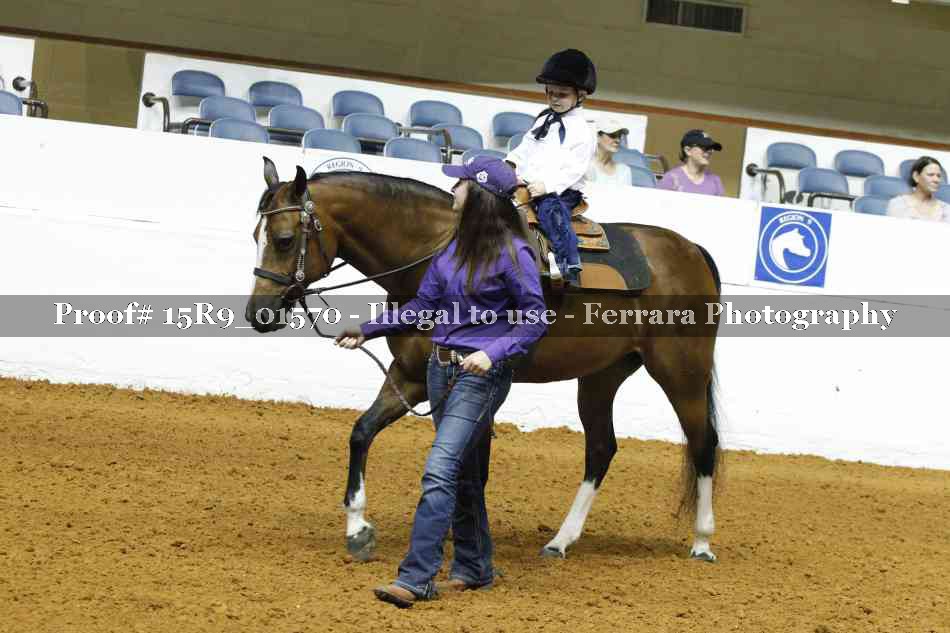 Proof Number 15R9_01570