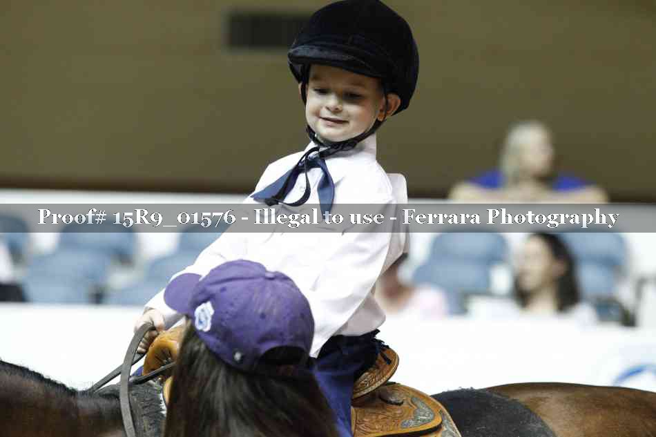 Proof Number 15R9_01576