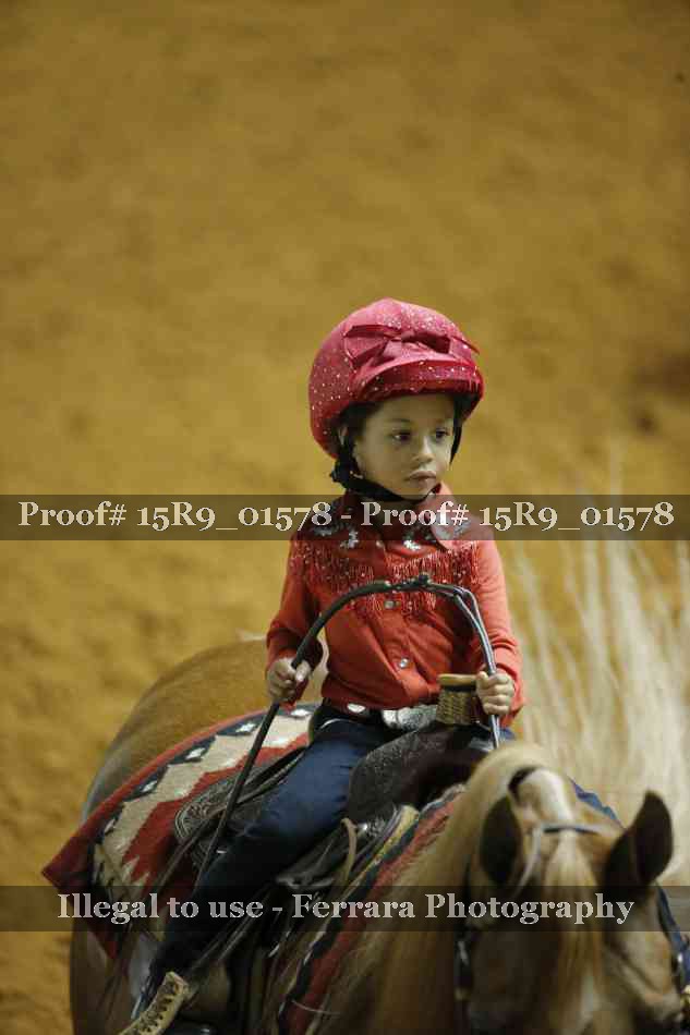 Proof Number 15R9_01578