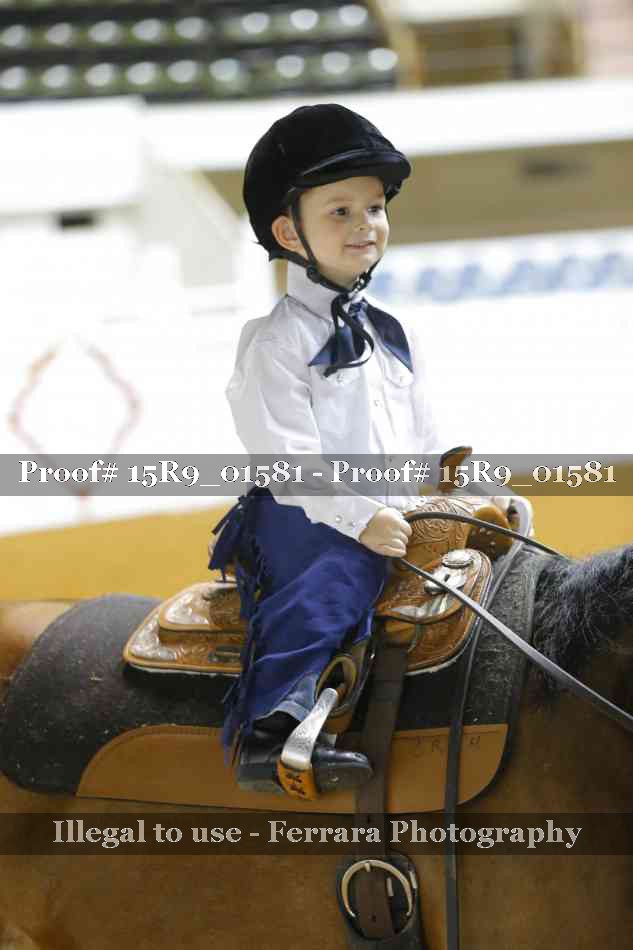 Proof Number 15R9_01581