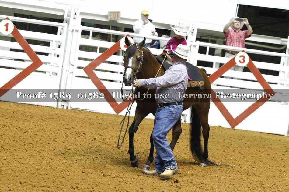 Proof Number 15R9_01582