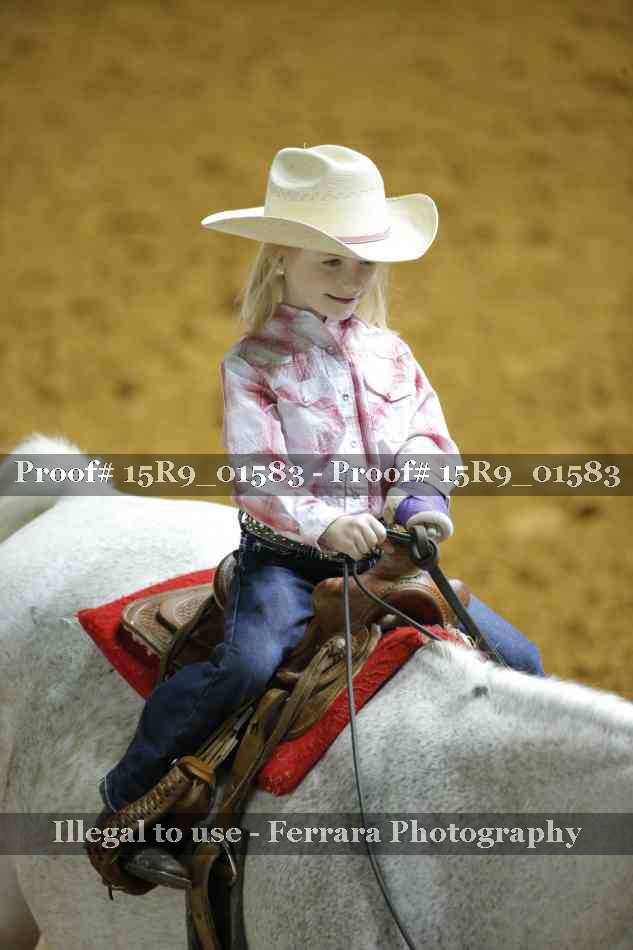 Proof Number 15R9_01583