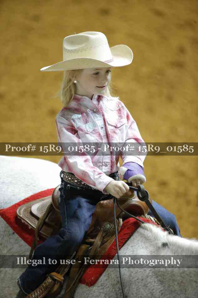 Proof Number 15R9_01585