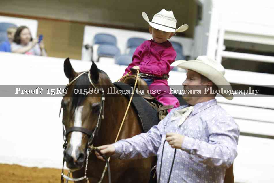 Proof Number 15R9_01586