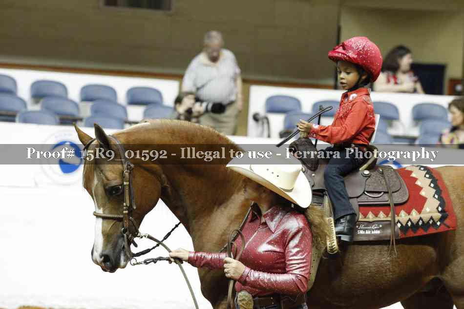 Proof Number 15R9_01592