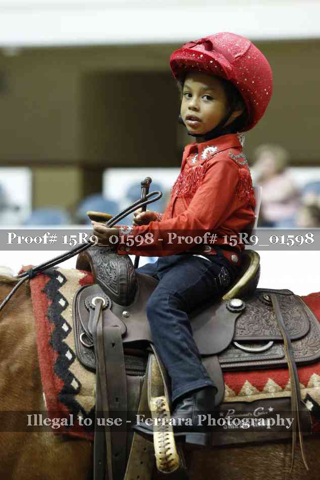 Proof Number 15R9_01598