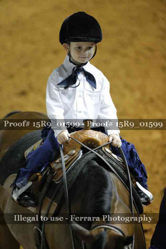 Proof Number 15R9_01599