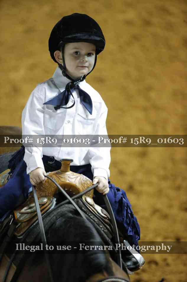 Proof Number 15R9_01603