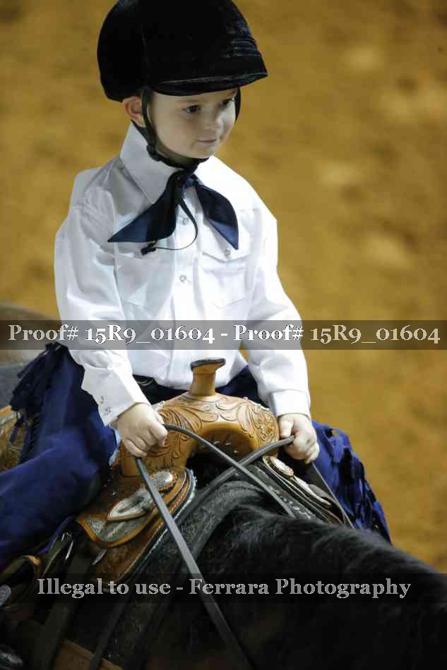 Proof Number 15R9_01604