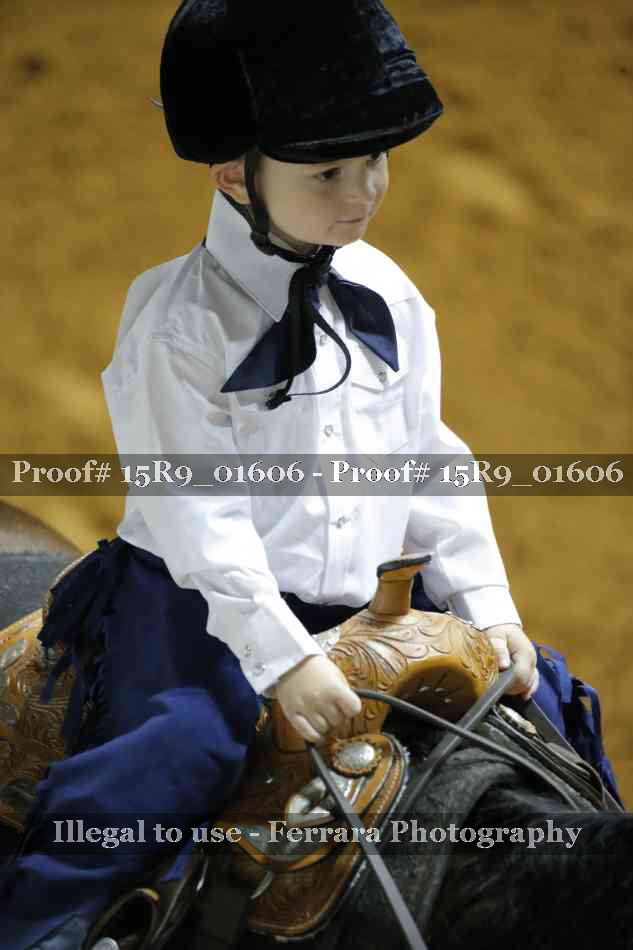 Proof Number 15R9_01606
