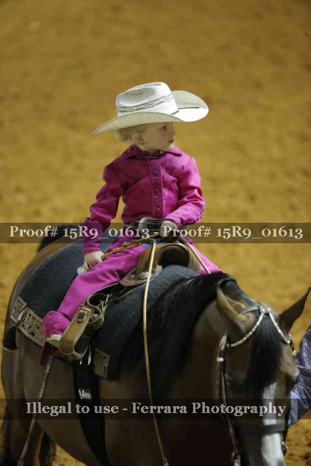 Proof Number 15R9_01613