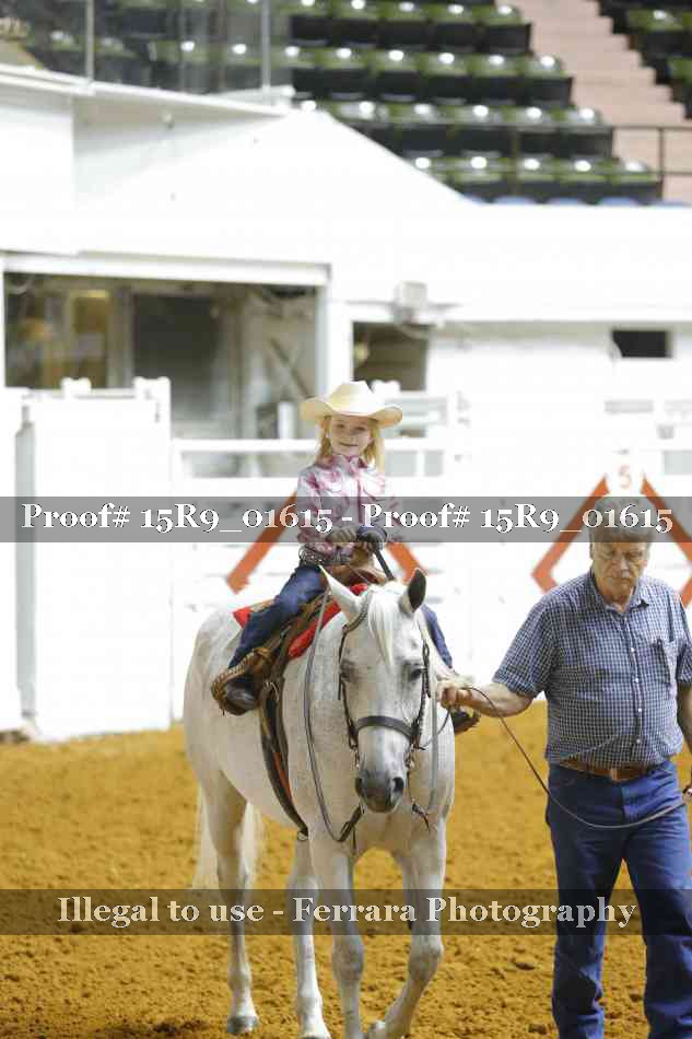 Proof Number 15R9_01615