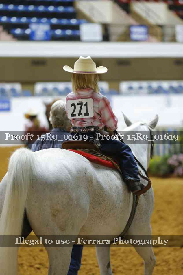 Proof Number 15R9_01619