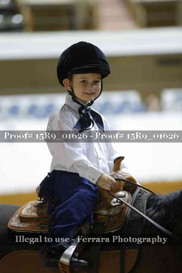 Proof Number 15R9_01626
