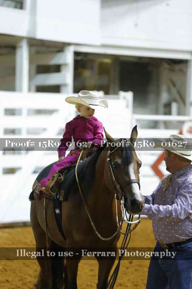 Proof Number 15R9_01627