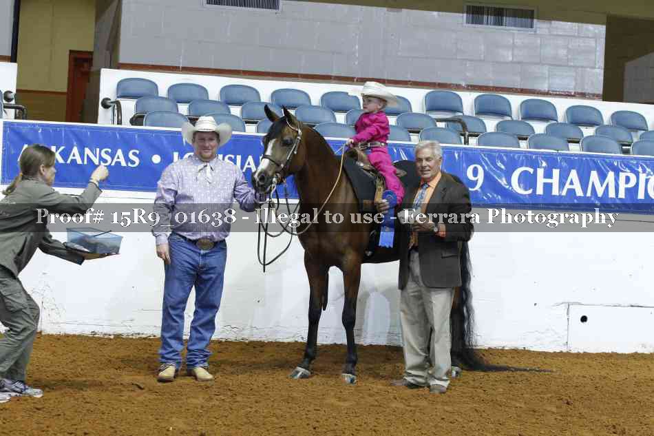 Proof Number 15R9_01638