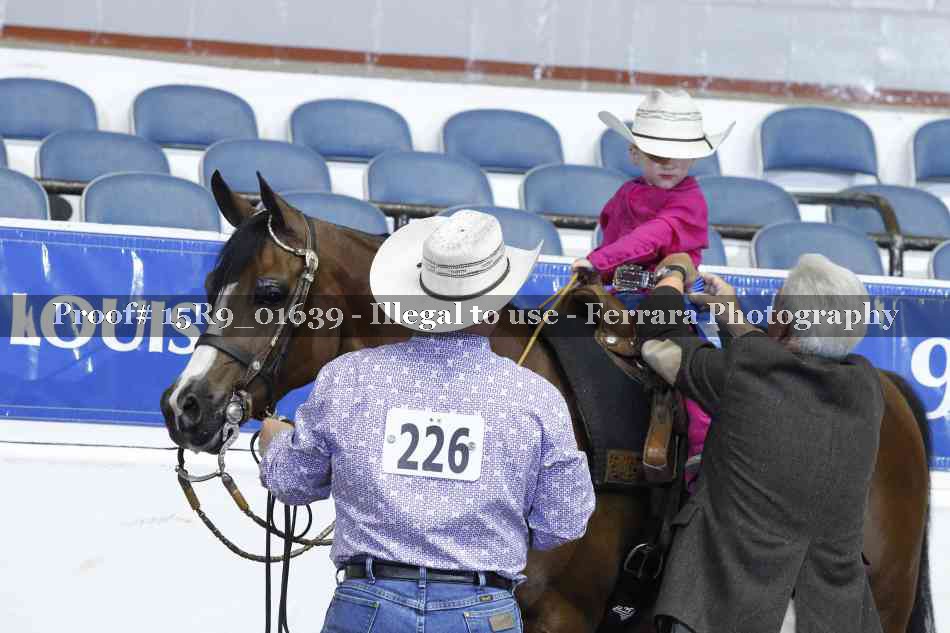 Proof Number 15R9_01639