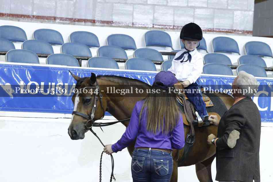 Proof Number 15R9_01644