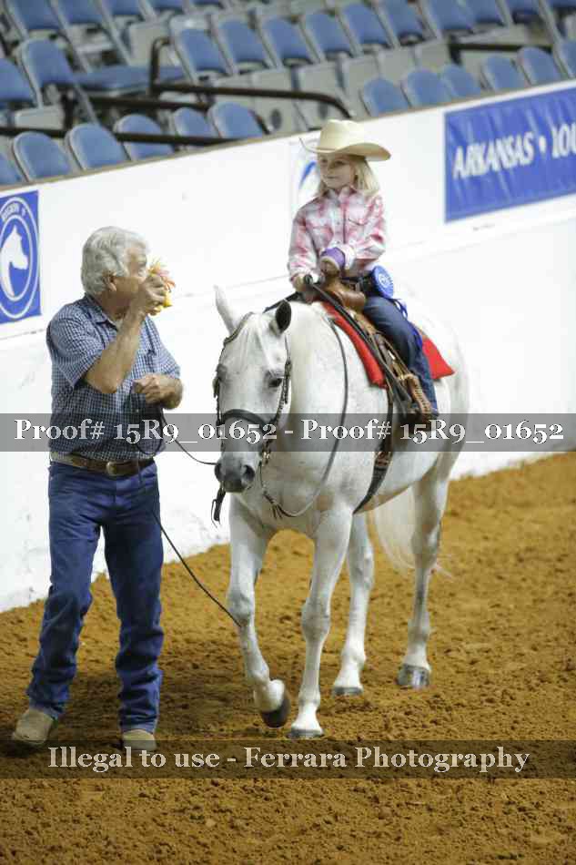 Proof Number 15R9_01652