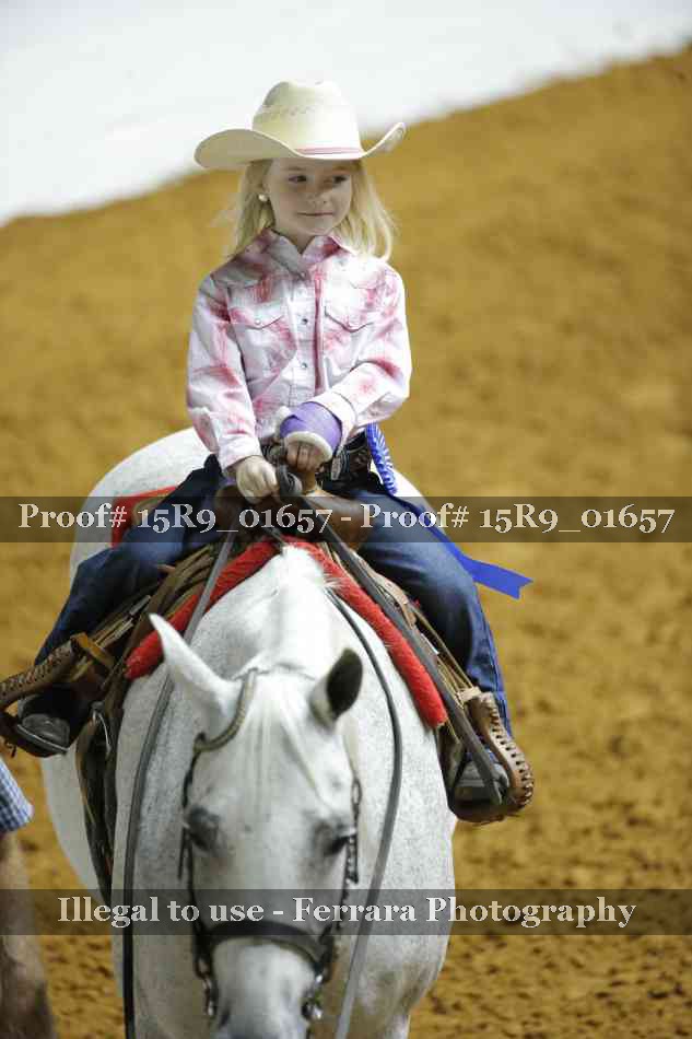 Proof Number 15R9_01657