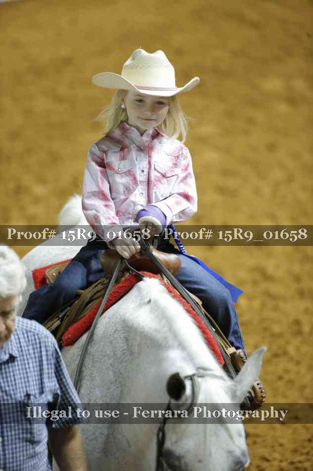 Proof Number 15R9_01658
