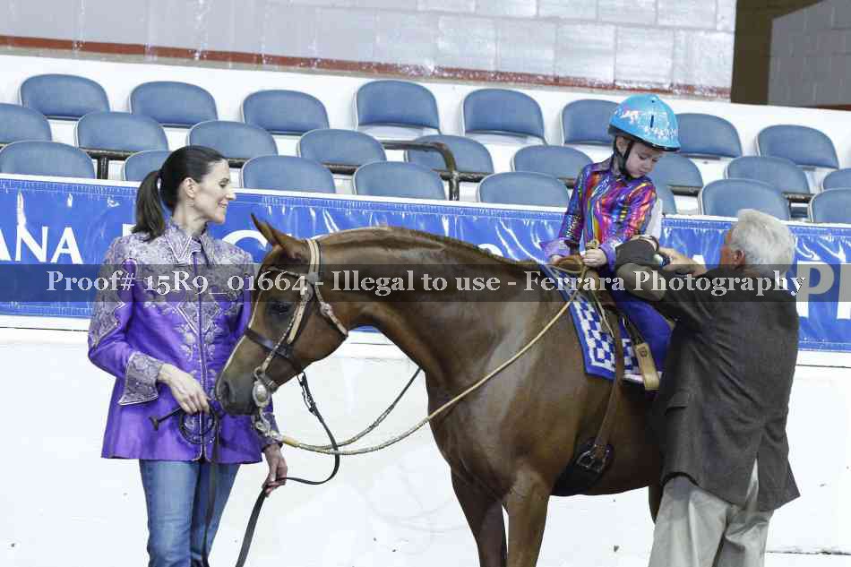 Proof Number 15R9_01664
