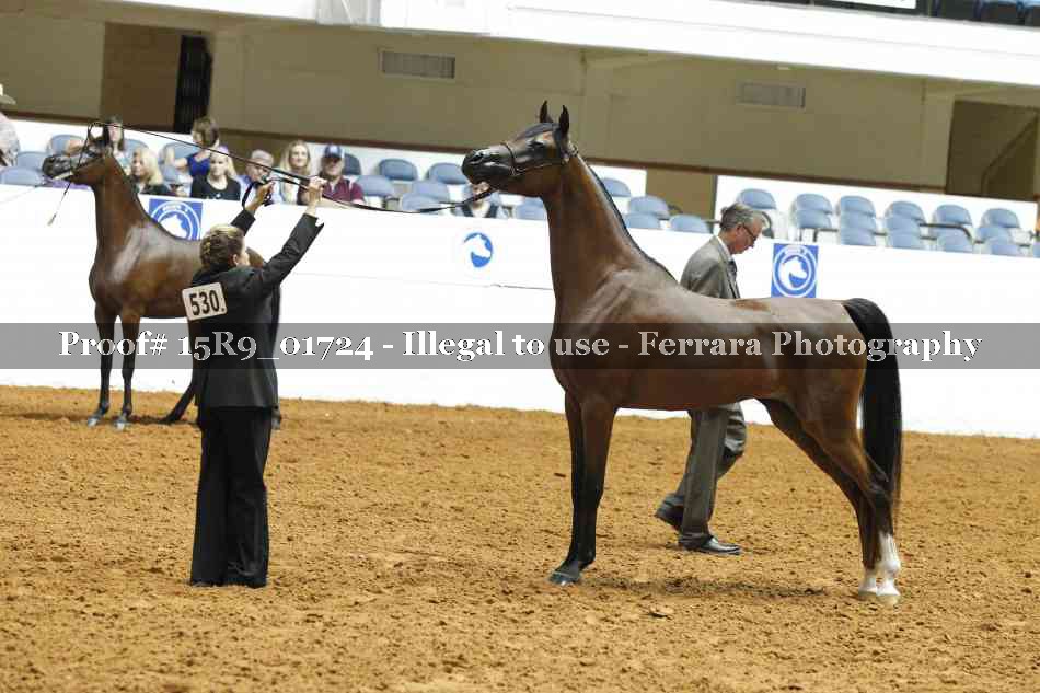 Proof Number 15R9_01724